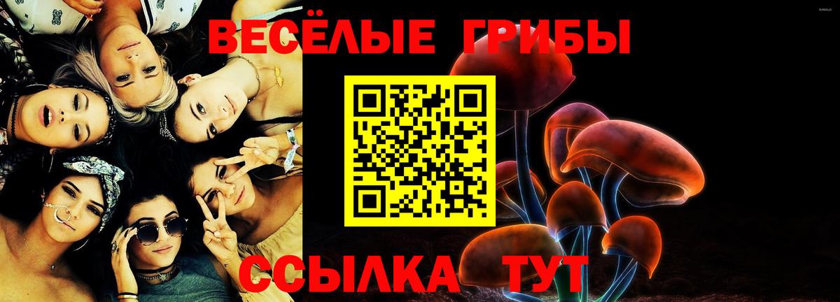 Тулун  Галлюциногенные грибы прущие грибы  Вход с VPN  Псилоцибиновые грибы мицелий 